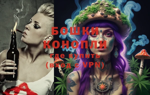 крисы Липки