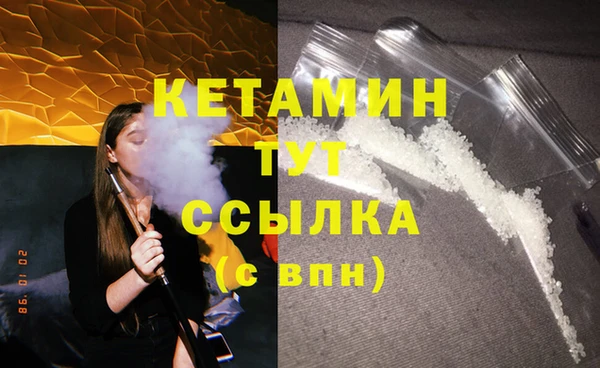 крисы Липки