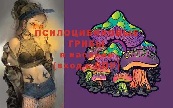 скорость Лиски