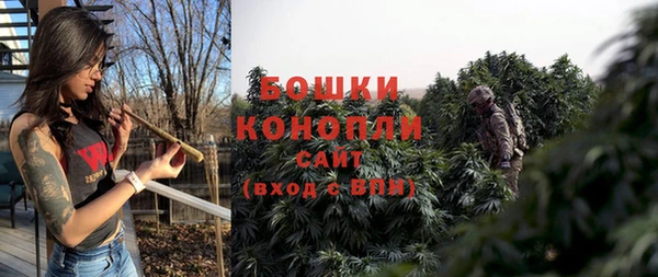 крисы Липки