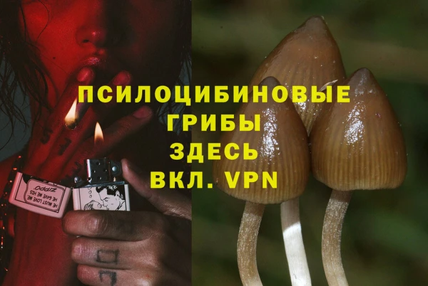 крисы Липки