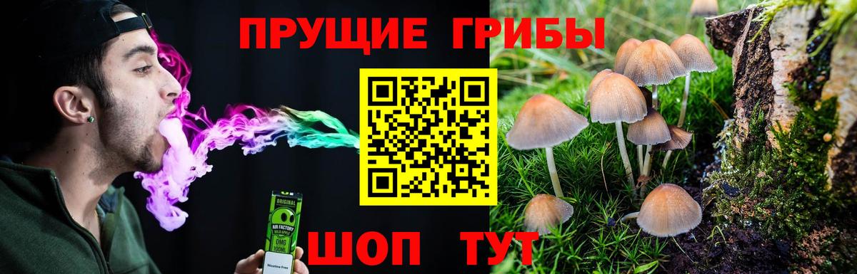 где купить наркоту  Вход с VPN  Галлюциногенные грибы GOLDEN TEACHER  Ачинск  Галлюциногенные грибы прущие грибы 
