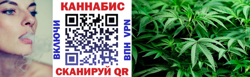 Бошки марихуана Amnesia  как найти закладки  Ачинск 